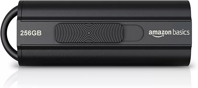 [Amazon.ca] Amazon Basics 256GB Ultra Fast USB 3.1 Flash Drive $21.99 (37% off)